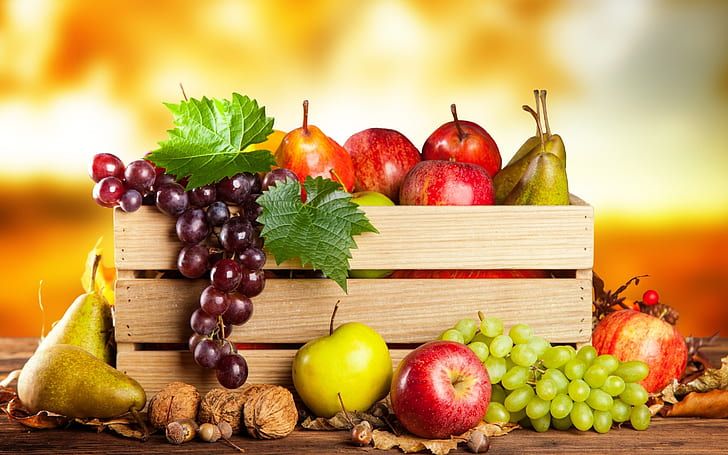 anacardium, cashew, cashew nuts, curatellifolium, diet, dried, dried food, food, fruit, isolated, kernels, natural, nourishment, nut, nutrient, nutrition, nuts, object, occidentale, organic, seed, shelled, snack, wood, wooden, brown fruits, brown diet, brown nutrition, cashew, cashew, cashew, cashew, cashew, cashew nuts