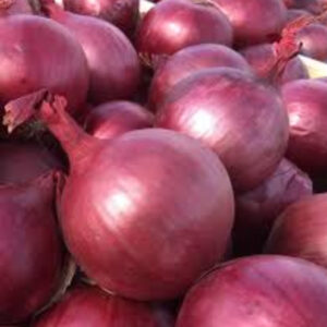 Onion(piach)