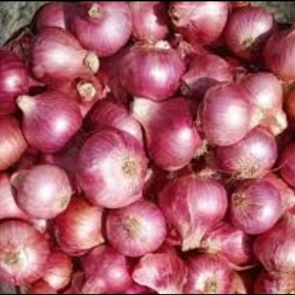 Onion(piach) - Image 2