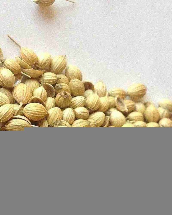 Dhania seeds - Image 2
