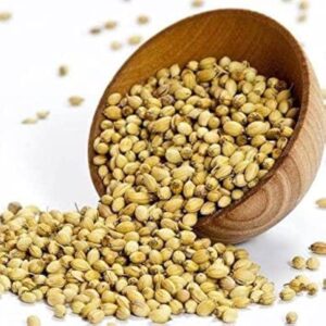 Dhania seeds