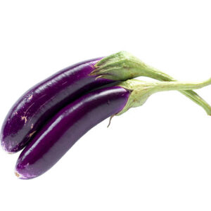 China Brinjal