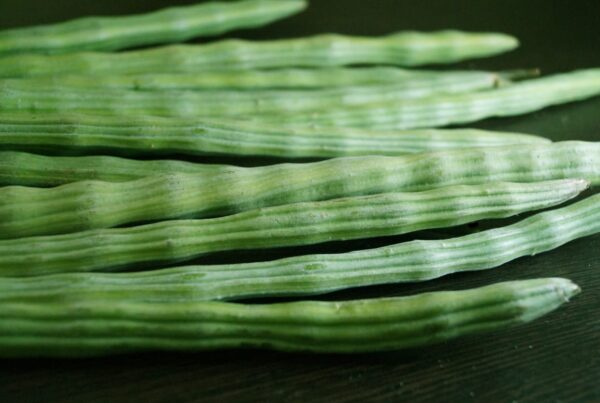 Drumsticks (Copy)