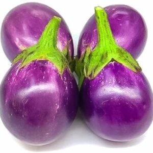 Round Brinjal