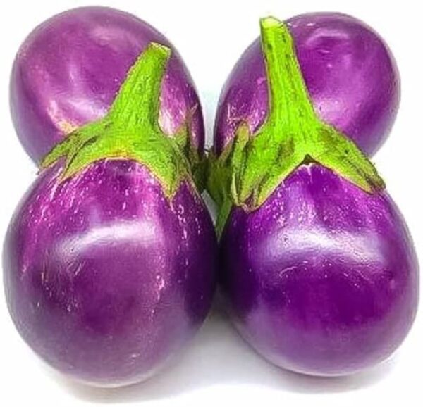 Round Brinjal