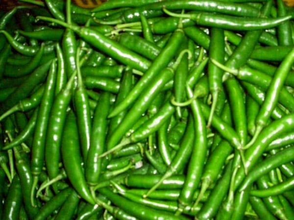 Green Chilli