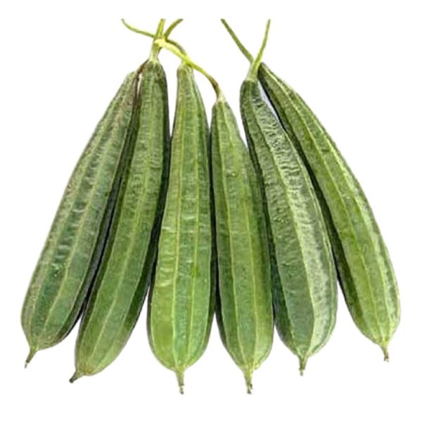 Luffa Acutangula (jhinga) - Image 2