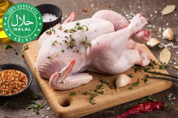 Chicken