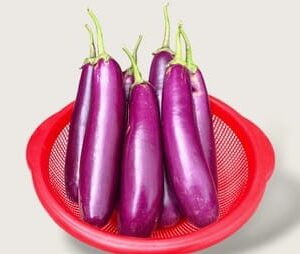 Brinjal