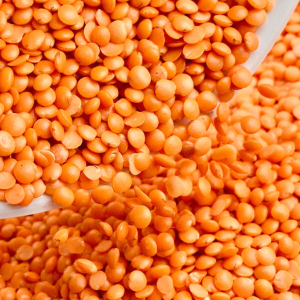 Masoor dal - Image 2