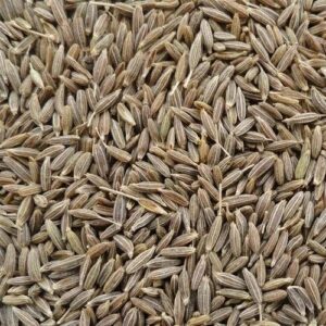 Jeera seeds