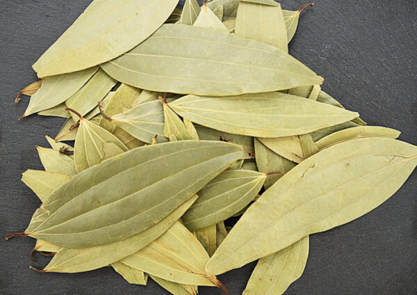 Tejpata